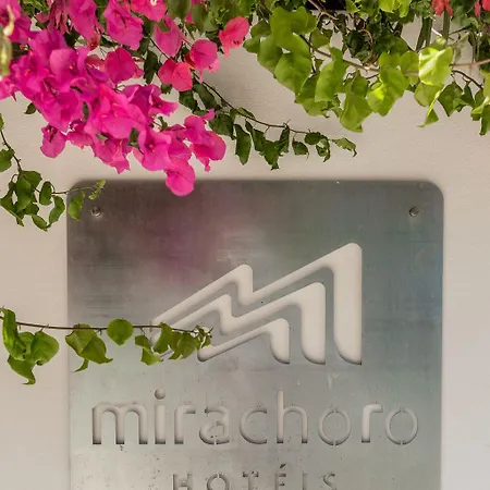 Mirachoro אלבופיירה